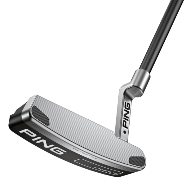 Ping 2023 Anser putteri